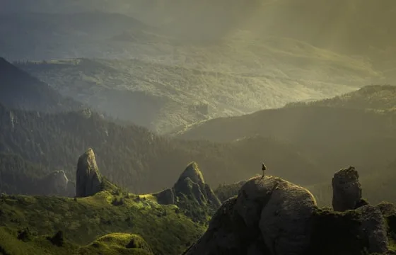 服务优势